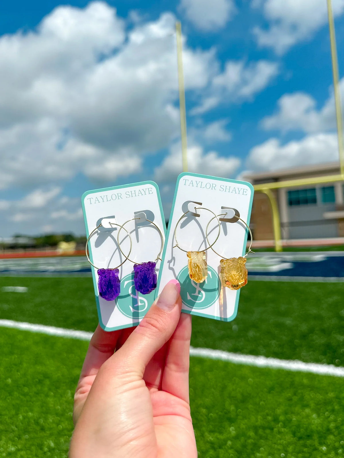 Tiger Head Hoops
