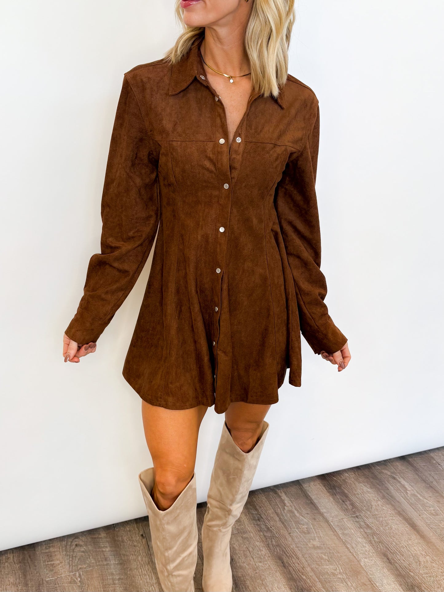 Aspen Faux Suede Dress