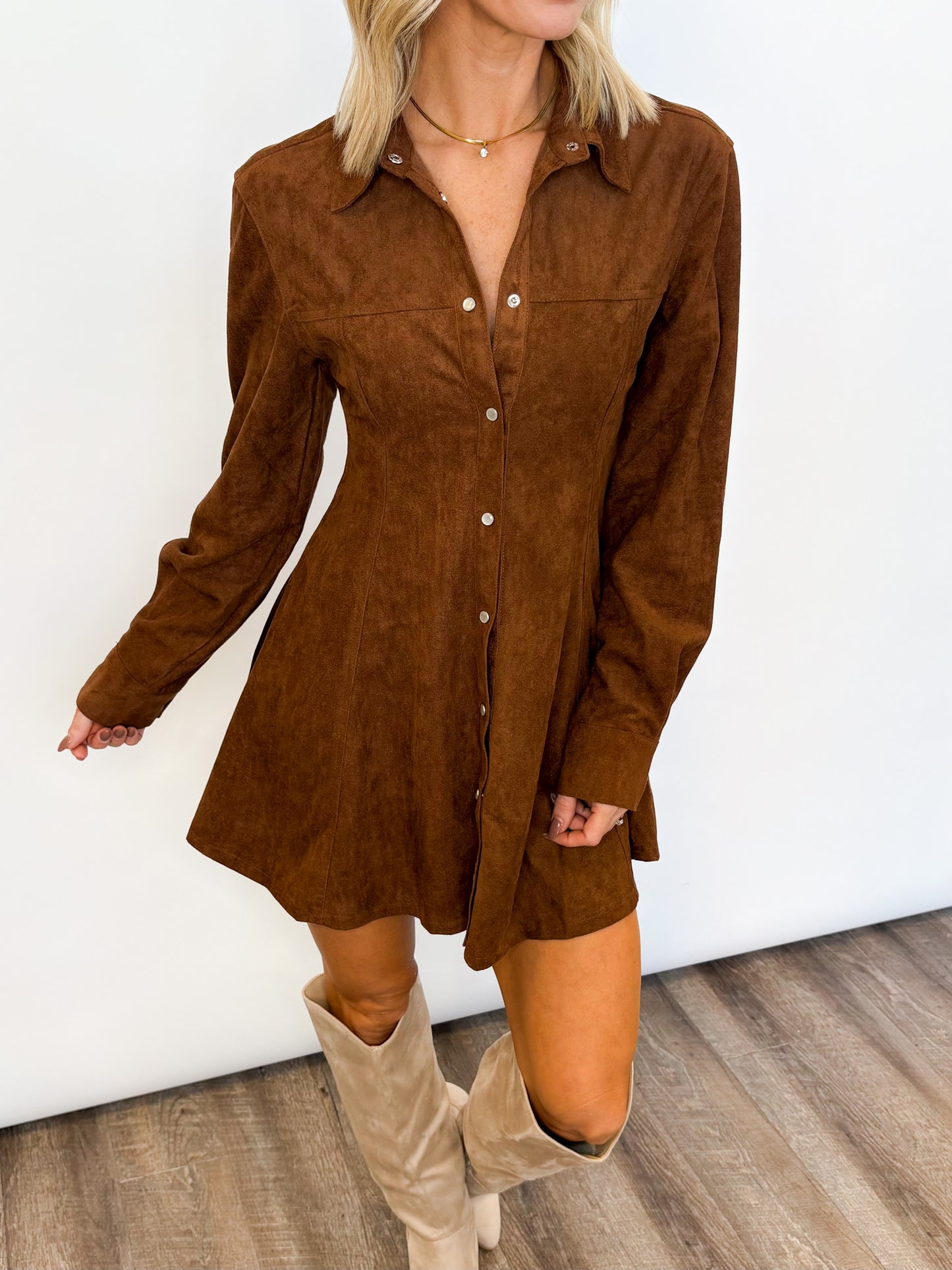 Aspen Faux Suede Dress