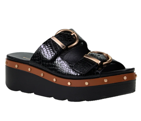 Surfs Up - Black Croc.
