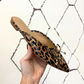 Leopard Mule
